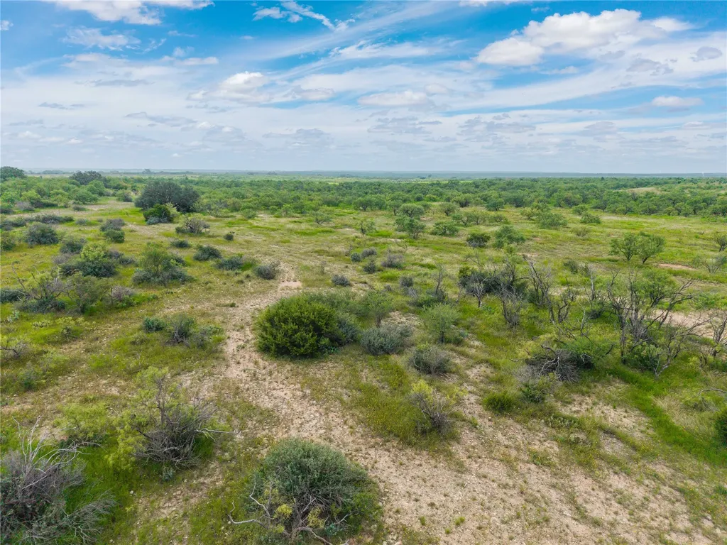 1050 County Road 258 Santa Anna TX 76878