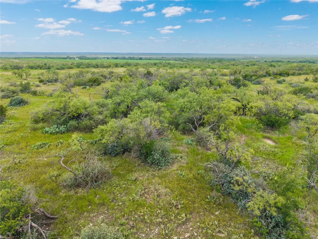 1050 County Road 258 Santa Anna TX 76878