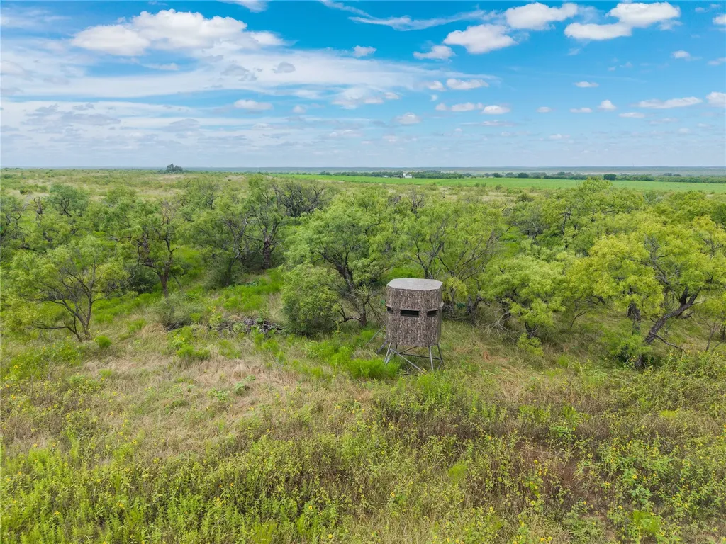 1050 County Road 258 Santa Anna TX 76878