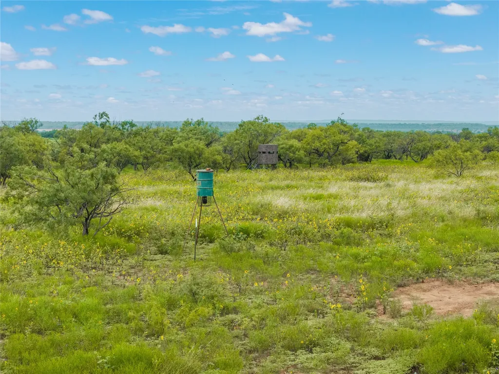 1050 County Road 258 Santa Anna TX 76878