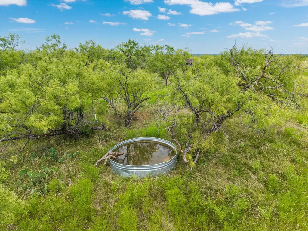1050 County Road 258 Santa Anna TX 76878