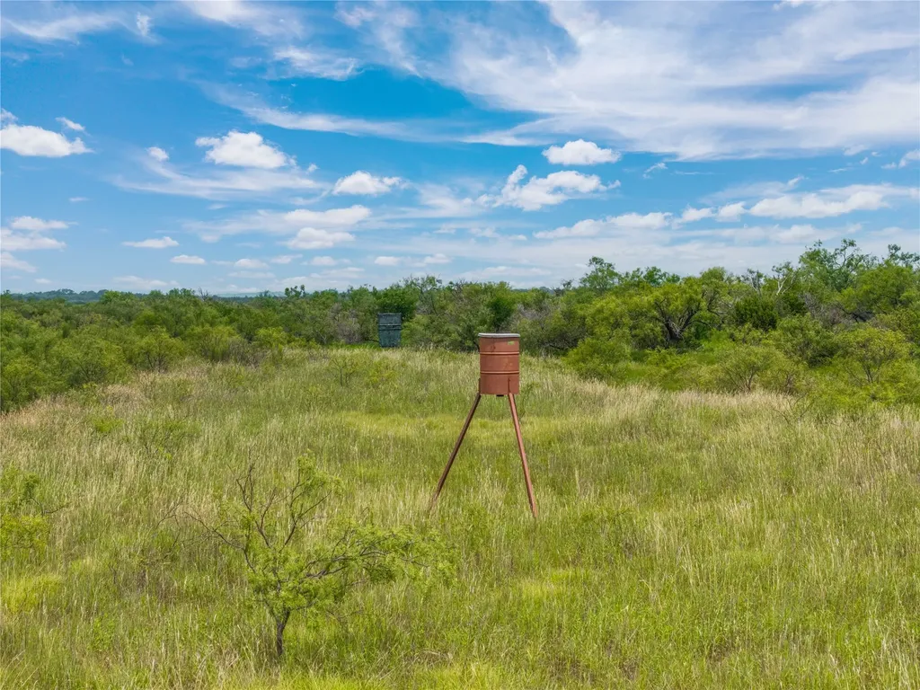 1050 County Road 258 Santa Anna TX 76878