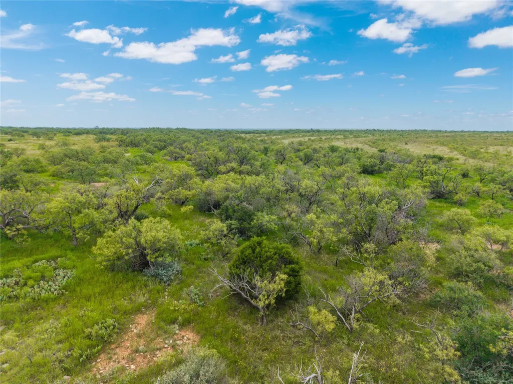 1050 County Road 258 Santa Anna TX 76878