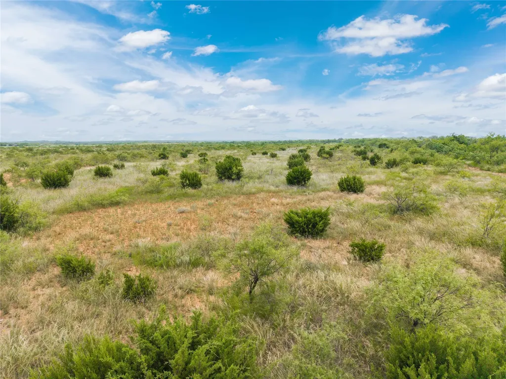 1050 County Road 258 Santa Anna TX 76878