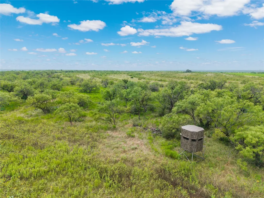 1050 County Road 258 Santa Anna TX 76878