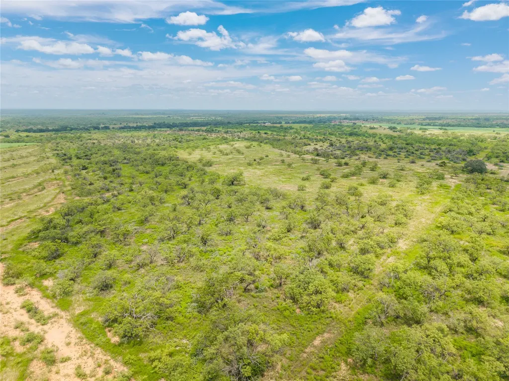1050 County Road 258 Santa Anna TX 76878