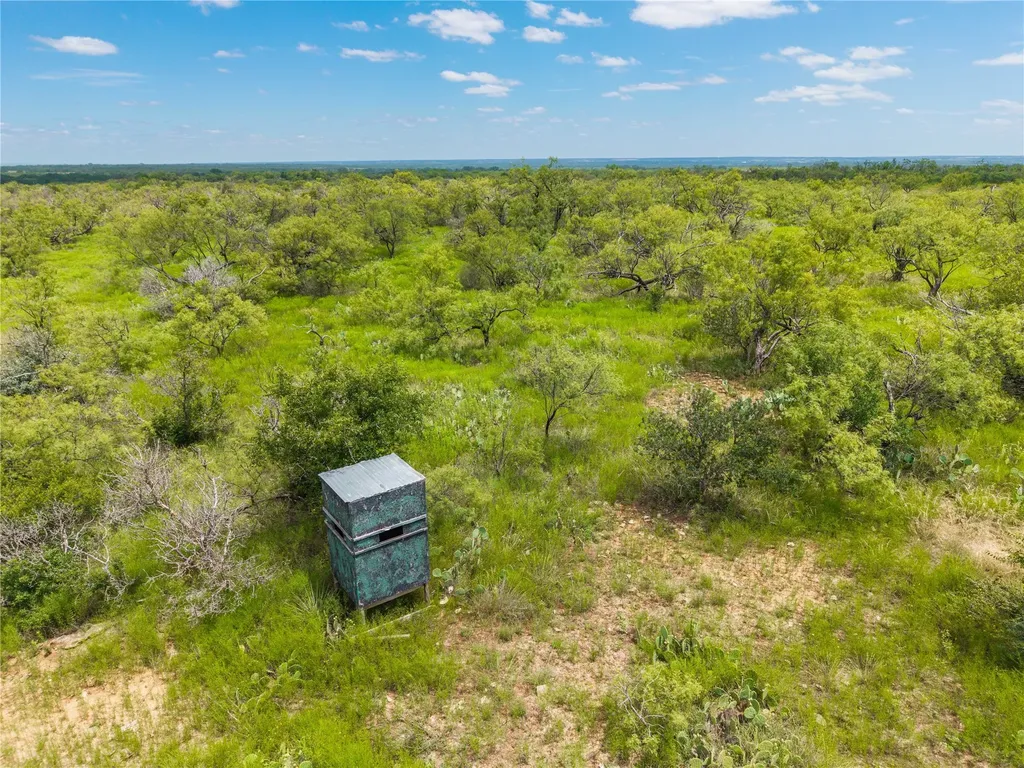 1050 County Road 258 Santa Anna TX 76878