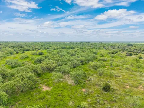 1050 County Road 258 Santa Anna TX 76878