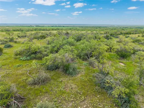 1050 County Road 258 Santa Anna TX 76878