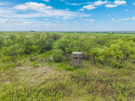 1050 County Road 258 Santa Anna TX 76878