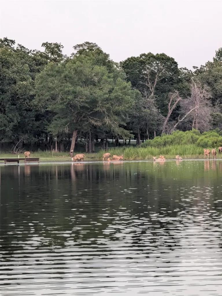 00 Striper Cove Larue TX 75770