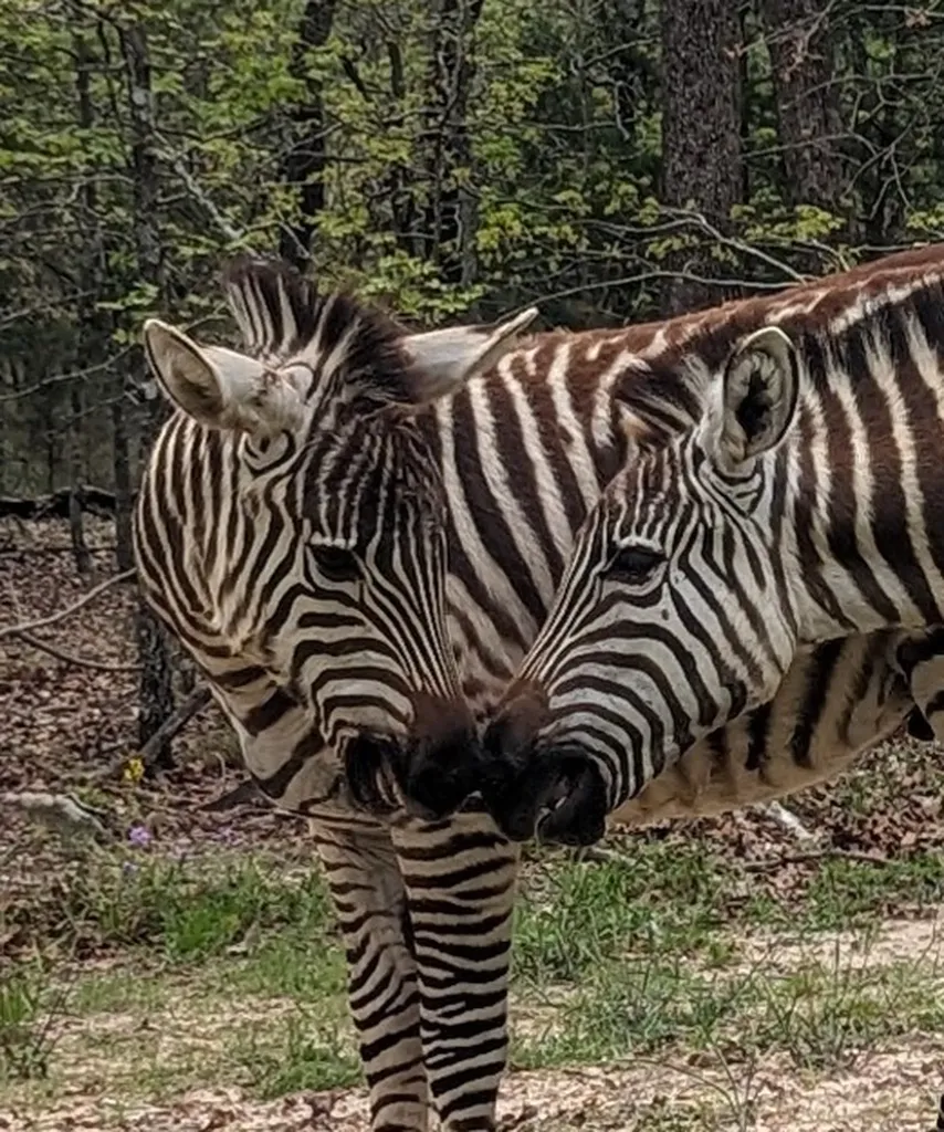 00 Striper Cove Larue TX 75770