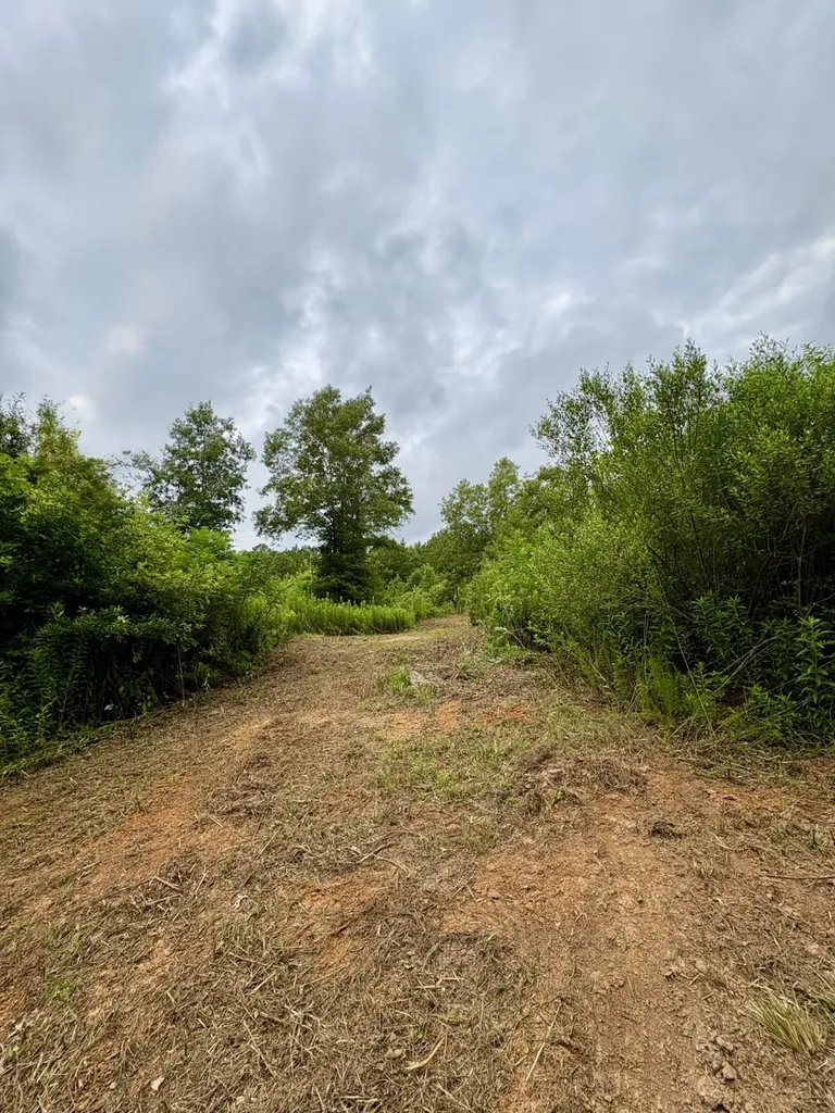 4246 County Road 4789 Timpson TX 75975