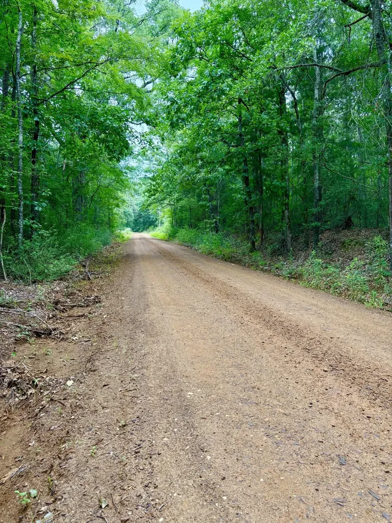 4246 County Road 4789 Timpson TX 75975