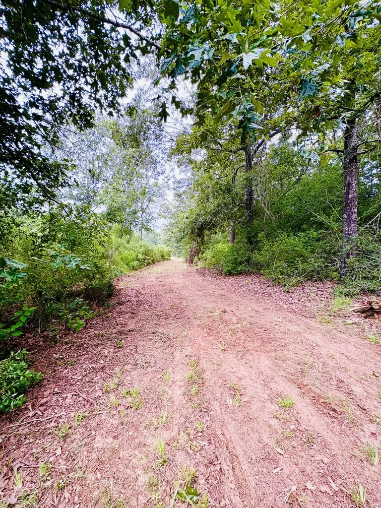 4246 County Road 4789 Timpson TX 75975