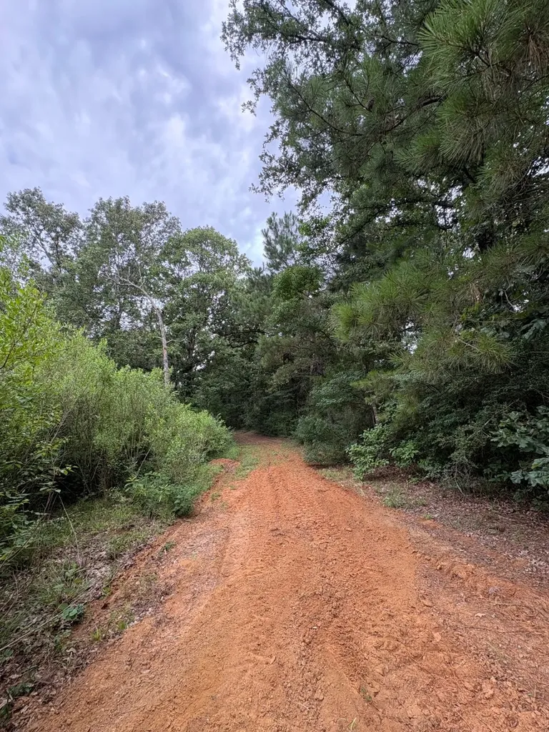 4246 County Road 4789 Timpson TX 75975