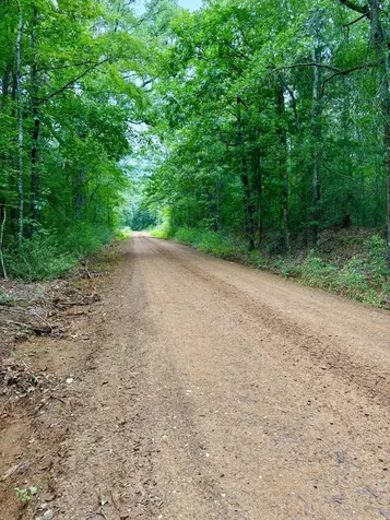 4246 County Road 4789 Timpson TX 75975