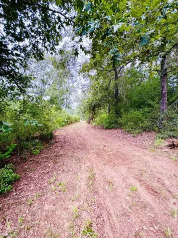 4246 County Road 4789 Timpson TX 75975