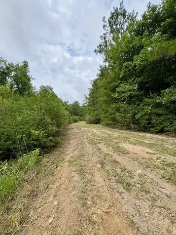4246 County Road 4789 Timpson TX 75975