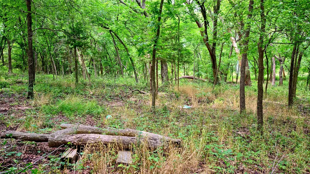 8540 Dixie School Road Nocona TX 76255