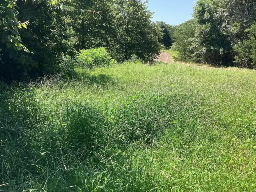 Tbd Ledbetter Lane Denison TX 75021