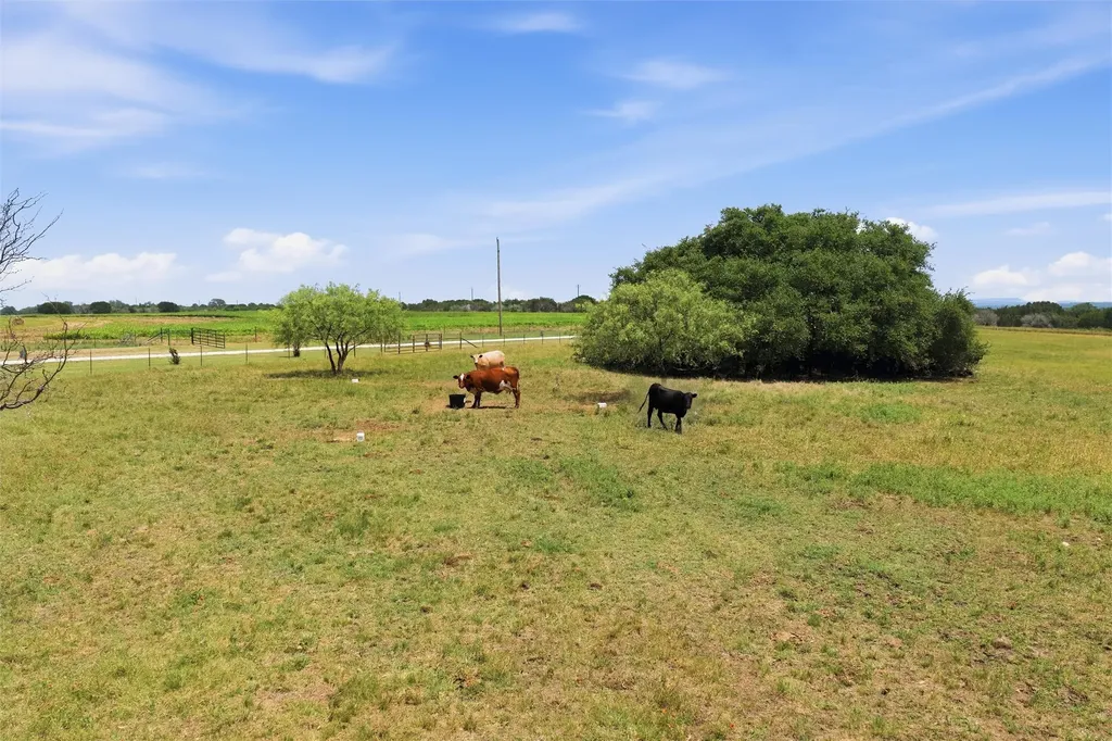 5835 N Fm 1744 Hico TX 76457