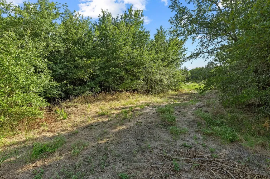 Tbd N Pecan St/u.s. Highway 69 Bells TX 75414