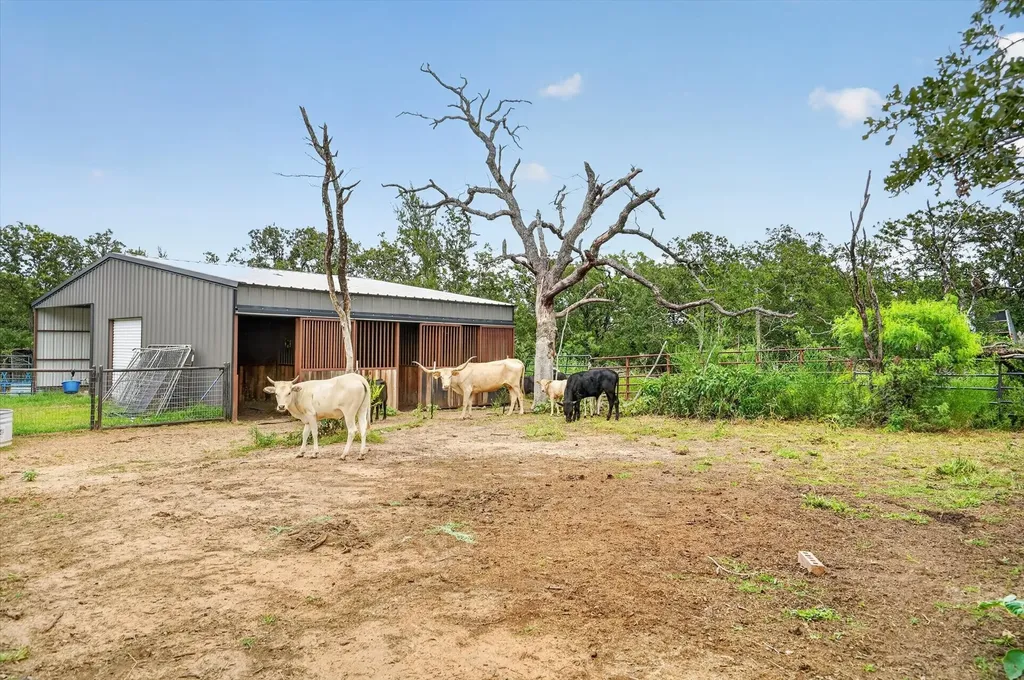 1017 County Road 3555 Paradise TX 76073