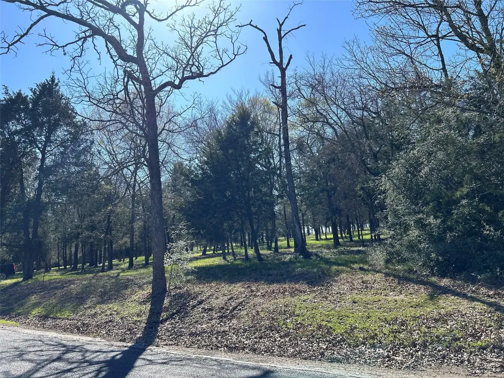 Tbd Shenandoah Drive Streetman TX 75859