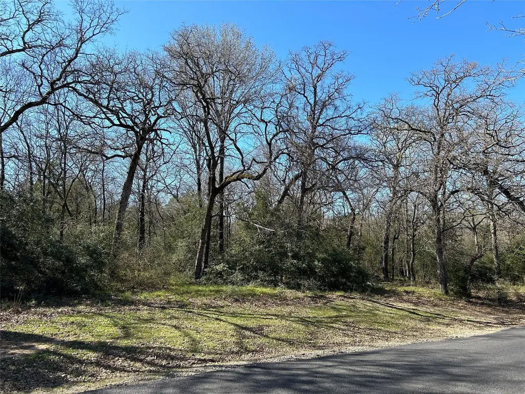 Tbd Shenandoah Drive Streetman TX 75859