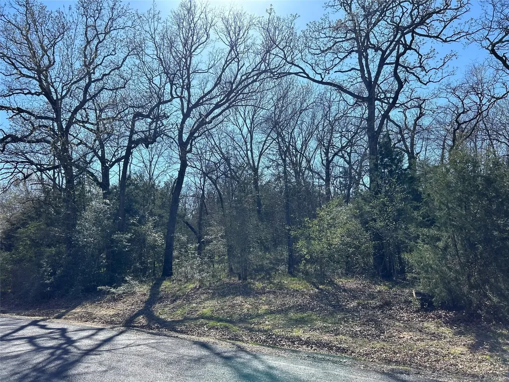 Tbd Shenandoah Drive Streetman TX 75859