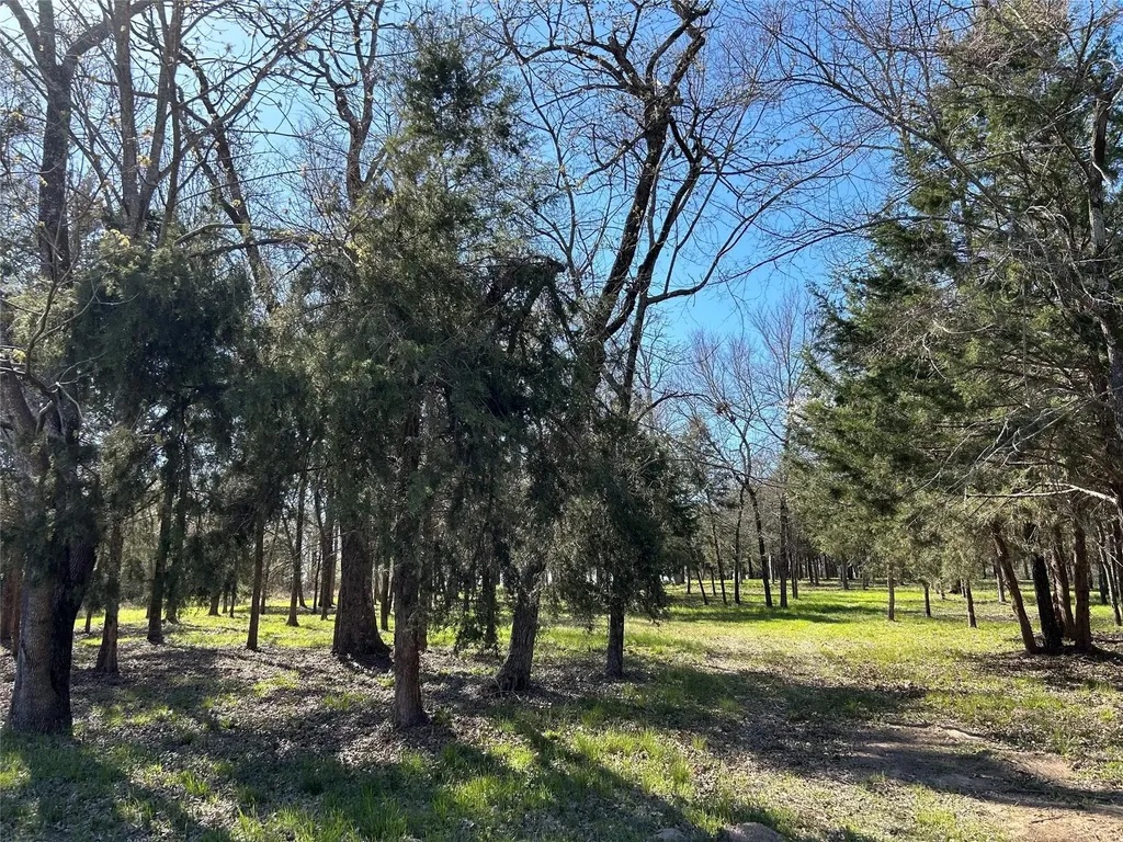 Tbd Shenandoah Drive Streetman TX 75859