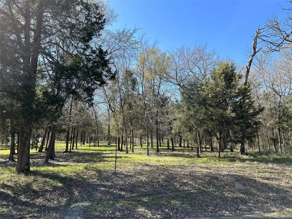 Tbd Shenandoah Drive Streetman TX 75859