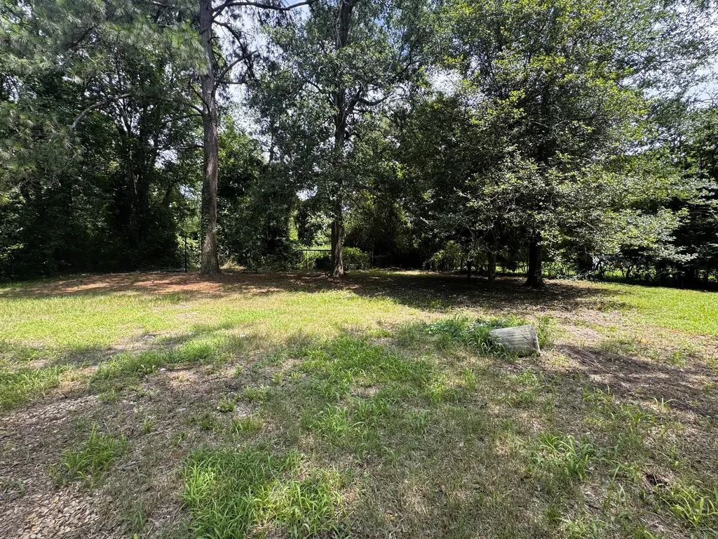 406 Pace Avenue Naples TX 75568