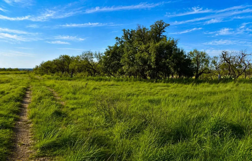20 A Cr 144 Brady TX 76825