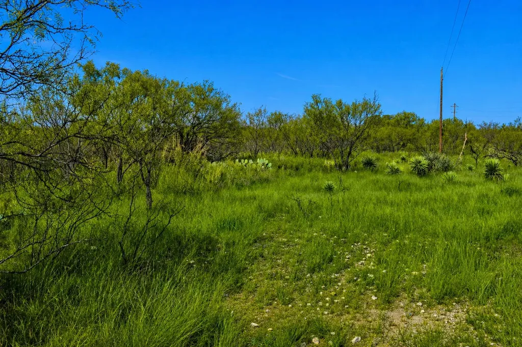 20 A Cr 144 Brady TX 76825