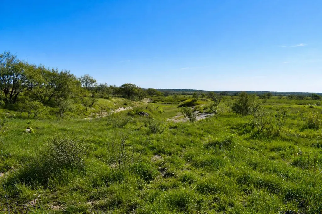 20 A Cr 144 Brady TX 76825
