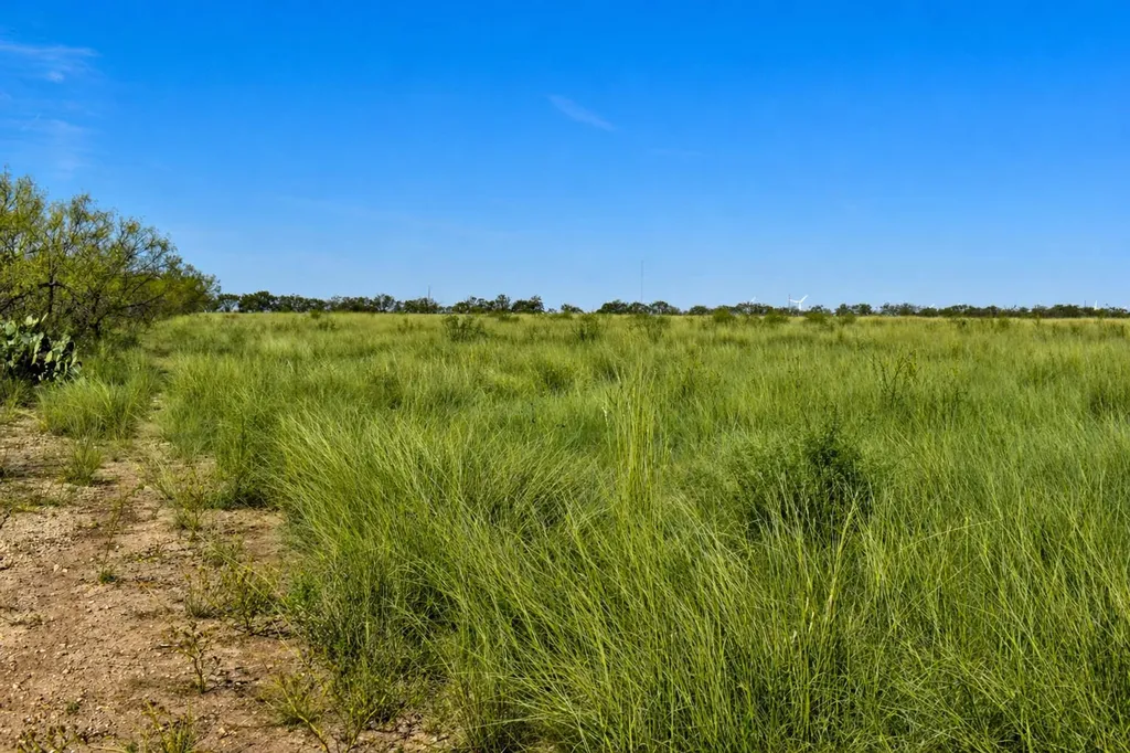 20 A Cr 144 Brady TX 76825