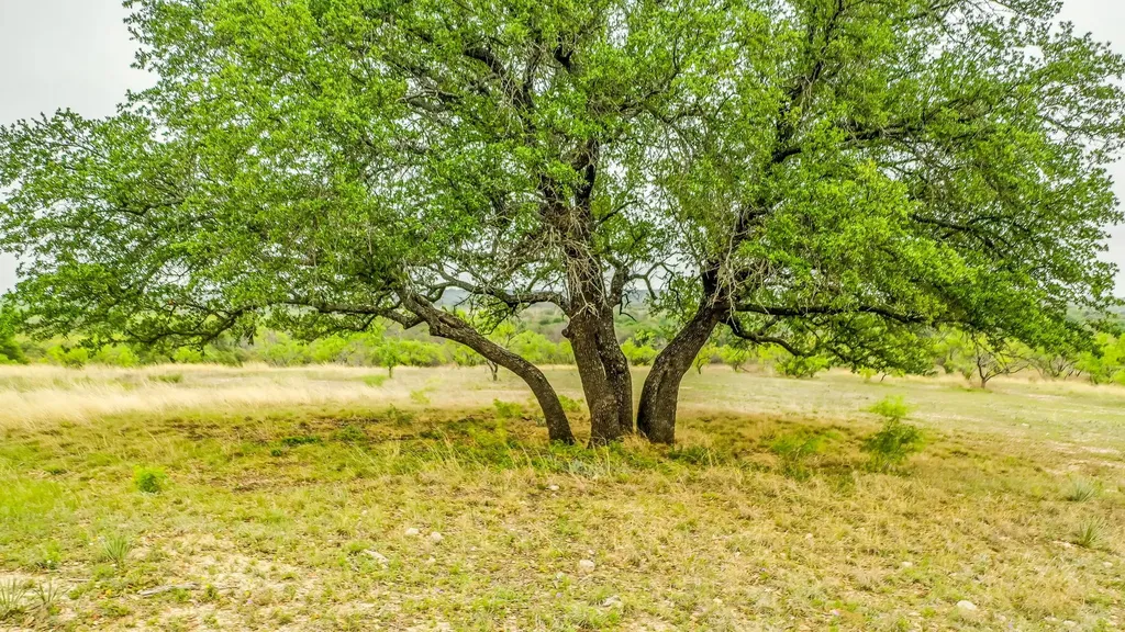 Lot 3 County Road 322 Blanket TX 76432