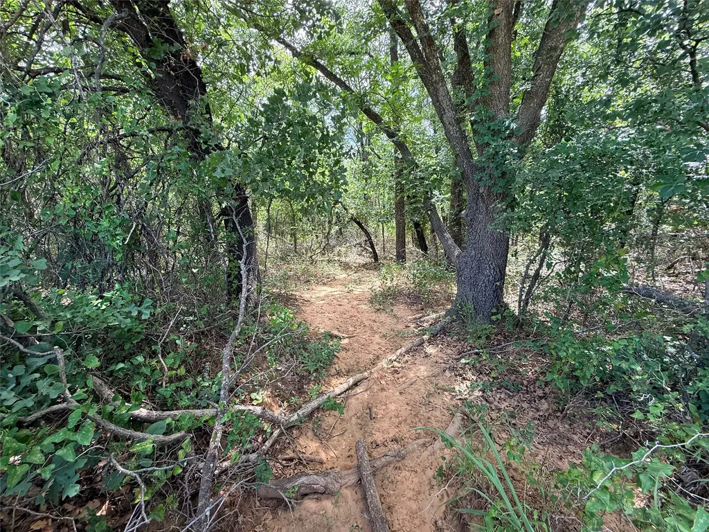 719 County Road 193 Comanche TX 76442