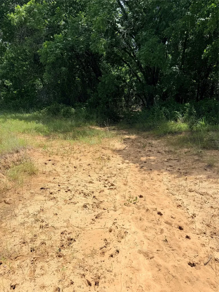 719 County Road 193 Comanche TX 76442