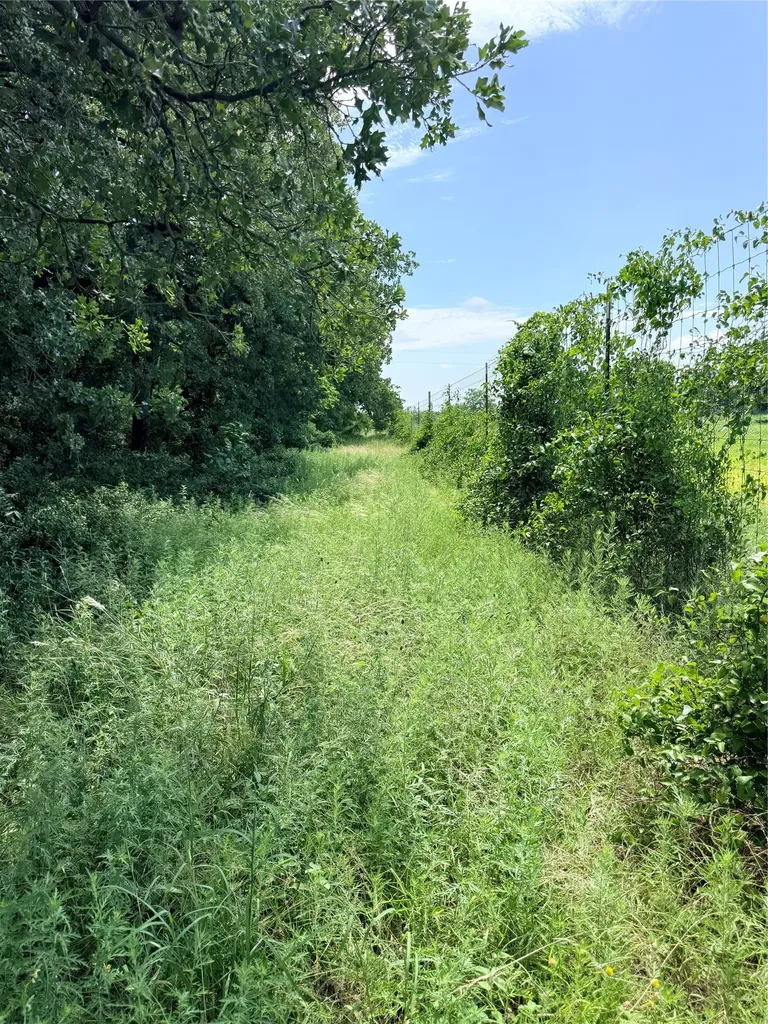 719 County Road 193 Comanche TX 76442