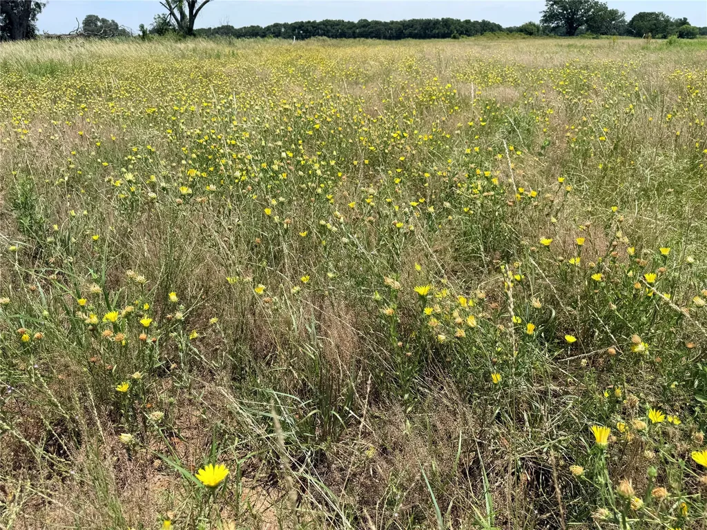 719 County Road 193 Comanche TX 76442
