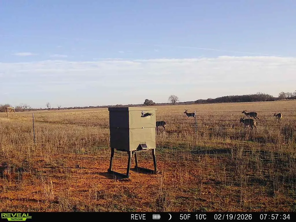 719 County Road 193 Comanche TX 76442