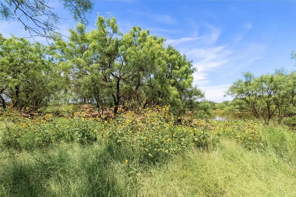 775 County Road 194 Coleman TX 76834