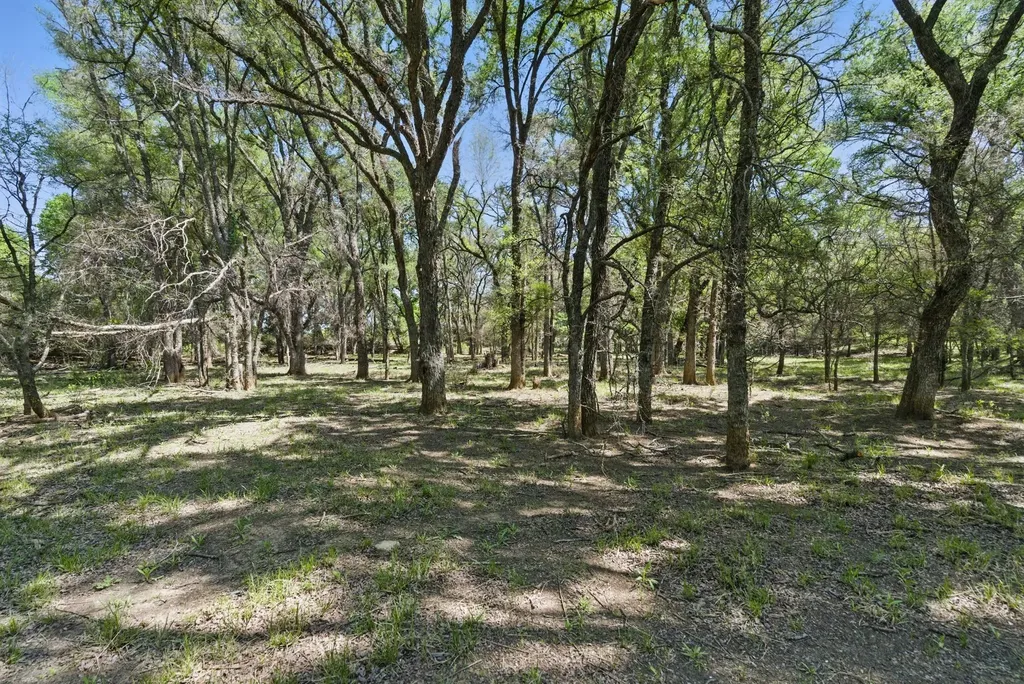 1359 Cr 195 Gorman TX 76454