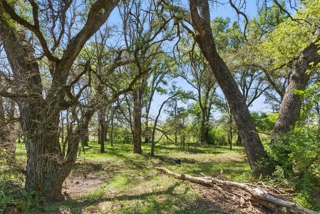 1359 Cr 195 Gorman TX 76454