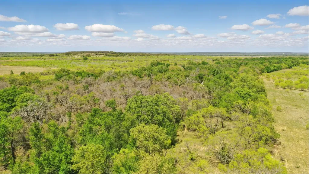 1359 Cr 195 Gorman TX 76454