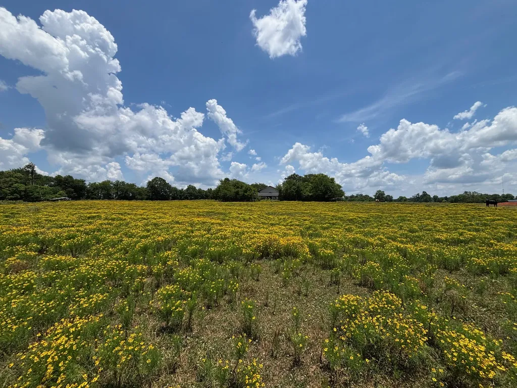 3834 Fenley Flat Road Lufkin TX 75969