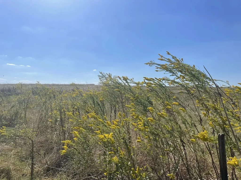 3809 County Road 384 Bartlett TX 76511